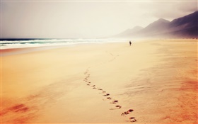 沙滩，海水，痕迹，脚印，雾，人 高清壁纸