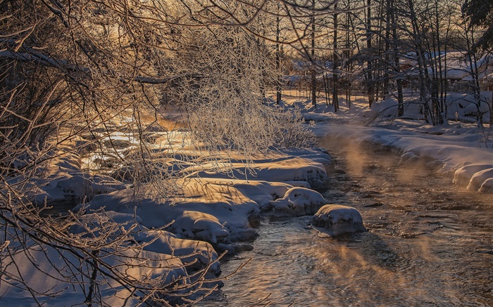 寒冷的冬天，树木，河流，厚厚的积雪 壁纸 图片