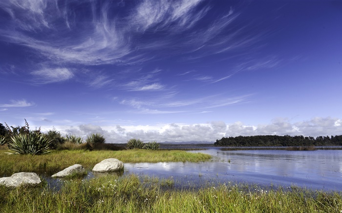新西兰，湖泊，岩石，草，蓝色的天空，云 壁纸 图片
