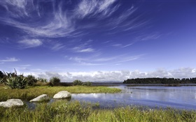 新西兰，湖泊，岩石，草，蓝色的天空，云