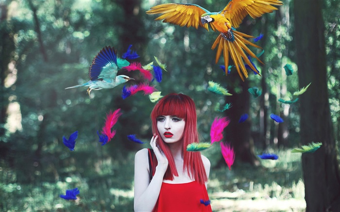 红发女孩，五颜六色的羽毛，鸟，创意图片 壁纸 图片