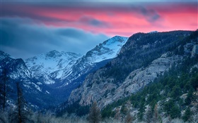 落基山国家公园，科罗拉多州，美国，山，树 高清壁纸