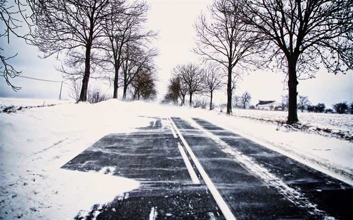 雪，冬季，道路，树木，电线，房子 壁纸 图片