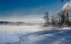 蒸气，雾，湖泊，树木，高山，冬天，雪