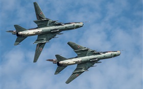 苏-22战斗机，轰炸机，飞行，天空 高清壁纸