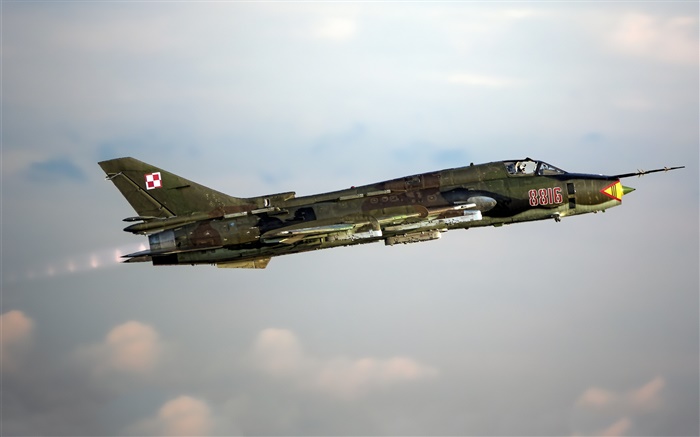 苏22战斗机，轰炸机，在天空中飞翔 壁纸 图片