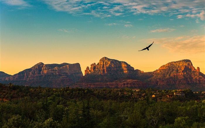 美国亚利桑那州，群山，日落，飞鸟，村，黄昏 壁纸 图片