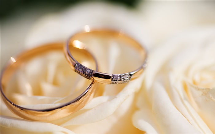 结婚戒指，玫瑰花瓣 壁纸 图片