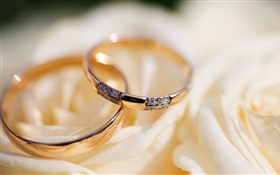 结婚戒指，玫瑰花瓣 高清壁纸