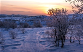 冬天，雪，树木，日落，路 高清壁纸
