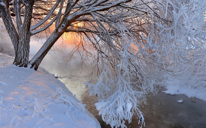 冬季，厚厚的积雪，树，树枝，河，日落 壁纸 图片