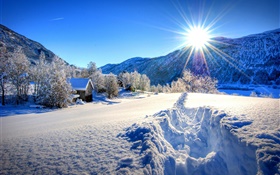 冬季，厚厚的积雪，树木，房子，太阳