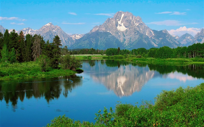 美国怀俄明州大提顿国家公园，山脉，湖泊，树木 壁纸 图片