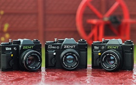 泽尼特12XS，12Pro，15M相机 高清壁纸