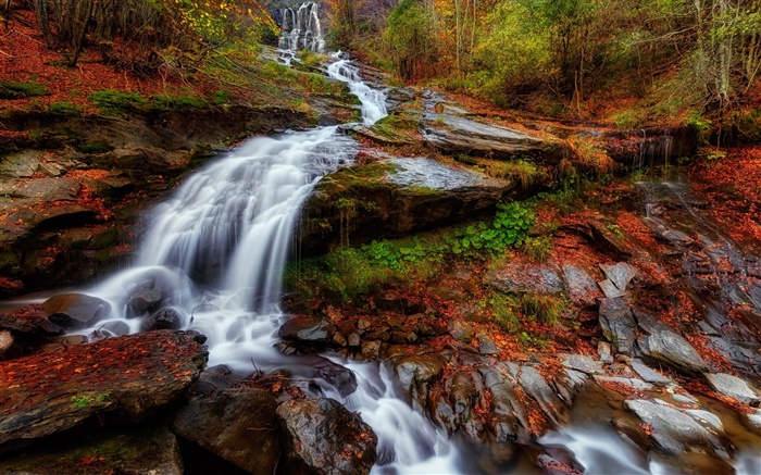 秋季，森林，河流，溪流，瀑布，叶子 壁纸 图片