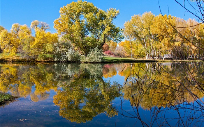秋天，池塘，湖泊，公园，树木，水中的倒影 壁纸 图片