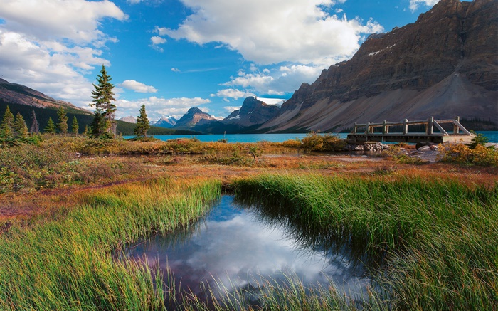 班夫国家公园，加拿大阿尔伯塔省，湖，山，草，云 壁纸 图片