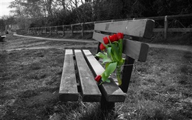 黑白照片，板凳，红色的郁金香花