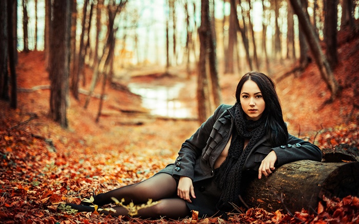 黑发女孩在森林，秋天，黄叶 壁纸 图片