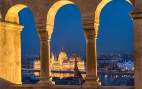 布达佩斯，匈牙利，议会，河，夜，灯