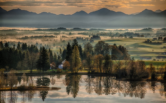 德国，拜仁，秋季，树木，湖泊，房屋，雾，早晨 壁纸 图片