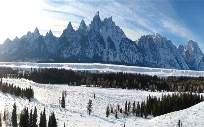 大提顿国家公园，怀俄明州，美国，冬天，山，厚厚的积雪 壁纸 图片