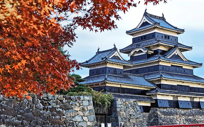 宝塔，日本，秋季，树木 壁纸 图片