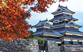 宝塔，日本，秋季，树木
