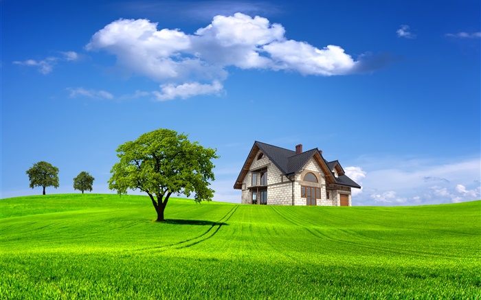 夏天，房子，树木，田野，绿草如茵 壁纸 图片
