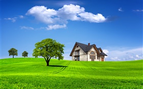 夏天，房子，树木，田野，绿草如茵 高清壁纸