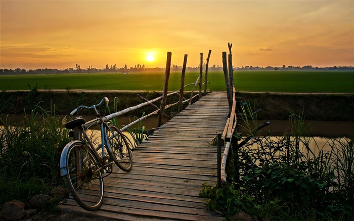 日落，自行车，桥，草，田野，河 壁纸 图片