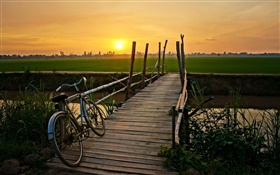 日落，自行车，桥，草，田野，河 高清壁纸