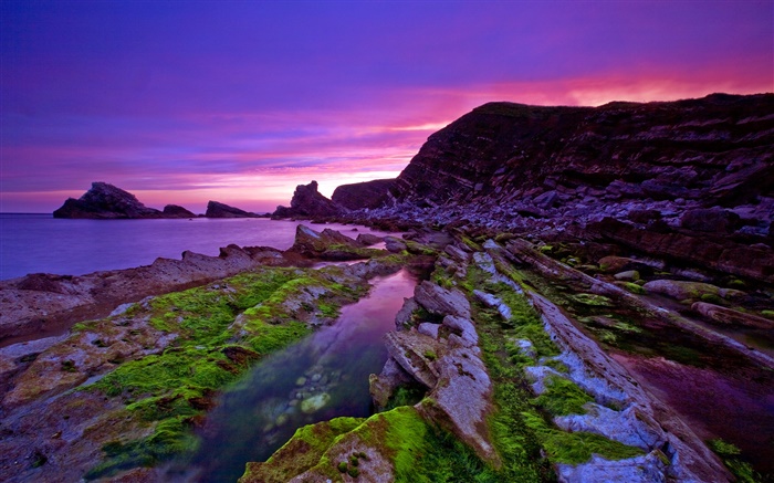 日落，海，海岸，石头，苔藓，紫色的天空 壁纸 图片