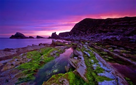 日落，海，海岸，石头，苔藓，紫色的天空 高清壁纸