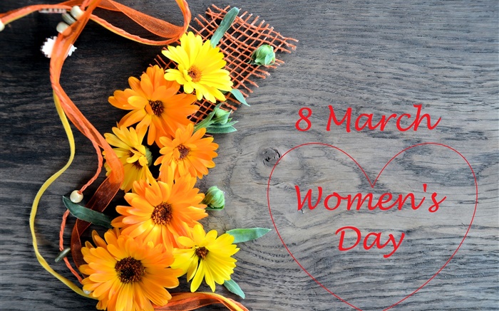 3月8日，妇女节，鲜花非洲菊，爱的心 壁纸 图片