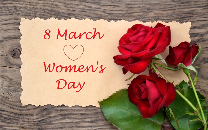 3月8日，妇女节，红色的玫瑰鲜花 壁纸 图片