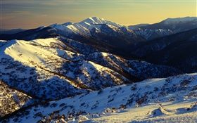 澳大利亚，山，雪，边坡 高清壁纸
