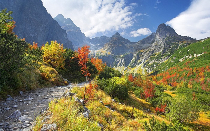 秋季自然，山，黄色的草，树，云 壁纸 图片