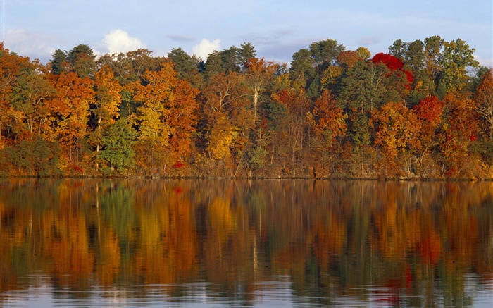 秋天，树木，河流 壁纸 图片