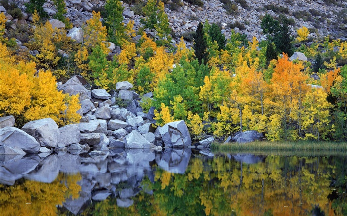 秋天，树木，岩石，湖泊，水中的倒影 壁纸 图片