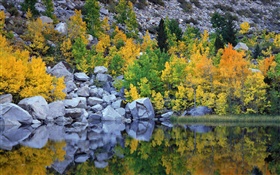 秋天，树木，岩石，湖泊，水中的倒影