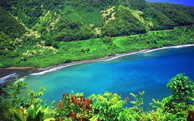 湾，海，山，绿色的植物，夏威夷，美国 高清壁纸