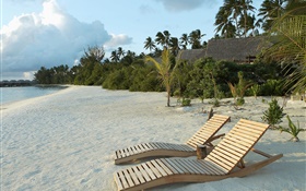 海滩，椅子，棕榈树，热带 高清壁纸
