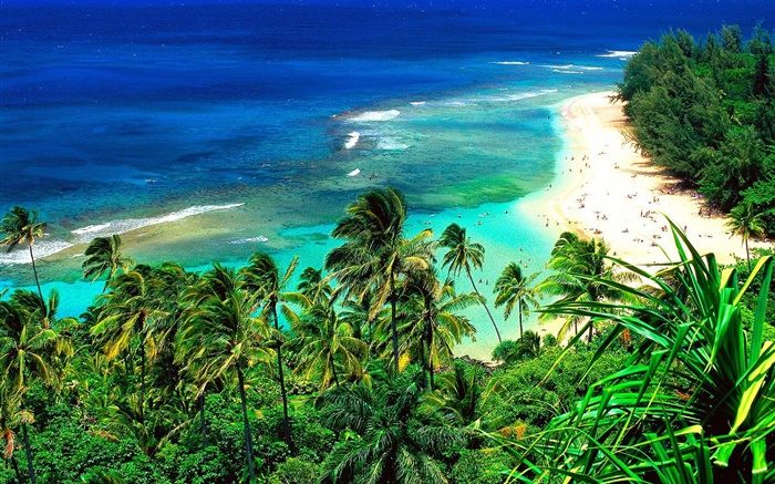 海滩，人，旅游，蔚蓝的大海，夏威夷，美国 壁纸 图片