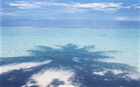 沙滩，海水，棕榈树的影子，马尔代夫 高清壁纸