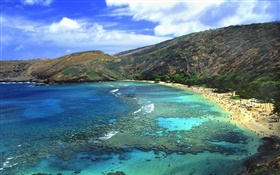 海滩，海，人，美国夏威夷 高清壁纸