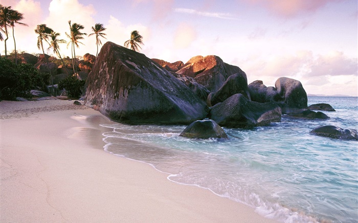 沙滩，海水，石头，岩石，棕榈树 壁纸 图片