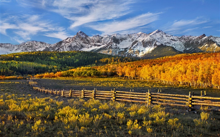 美丽的秋天景观，山，森林，栅栏 壁纸 图片