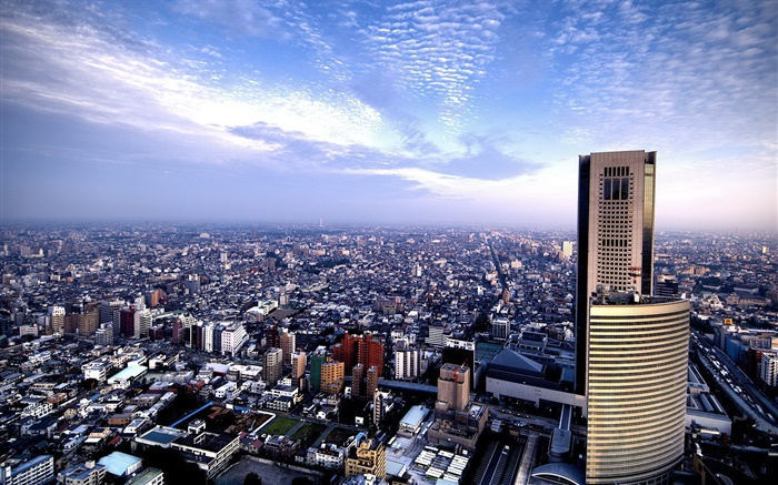 美丽的城市，顶视图，摩天大楼，蓝色的天空，云 壁纸 图片