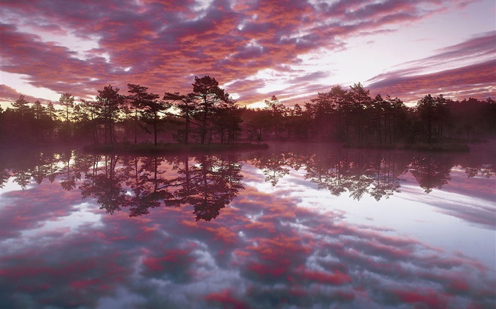 美丽的黄昏，树木，湖泊，水中的倒影，红云 壁纸 图片